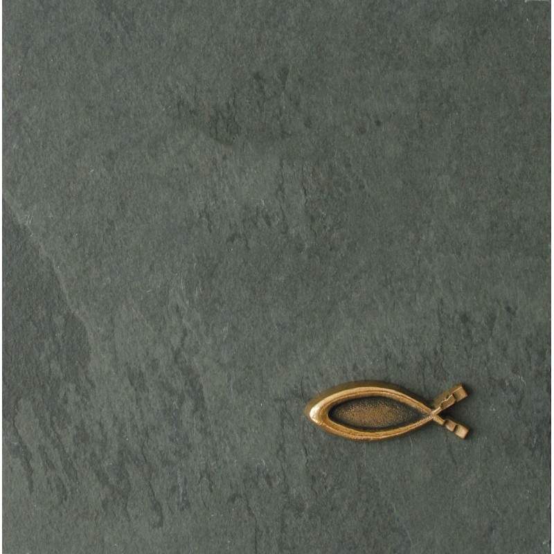 Placheta piatra ”Ichthys” bronz masiv
