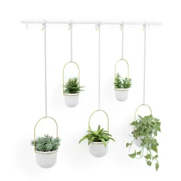 Set ghivece suspendate Umbra Triflora XL White