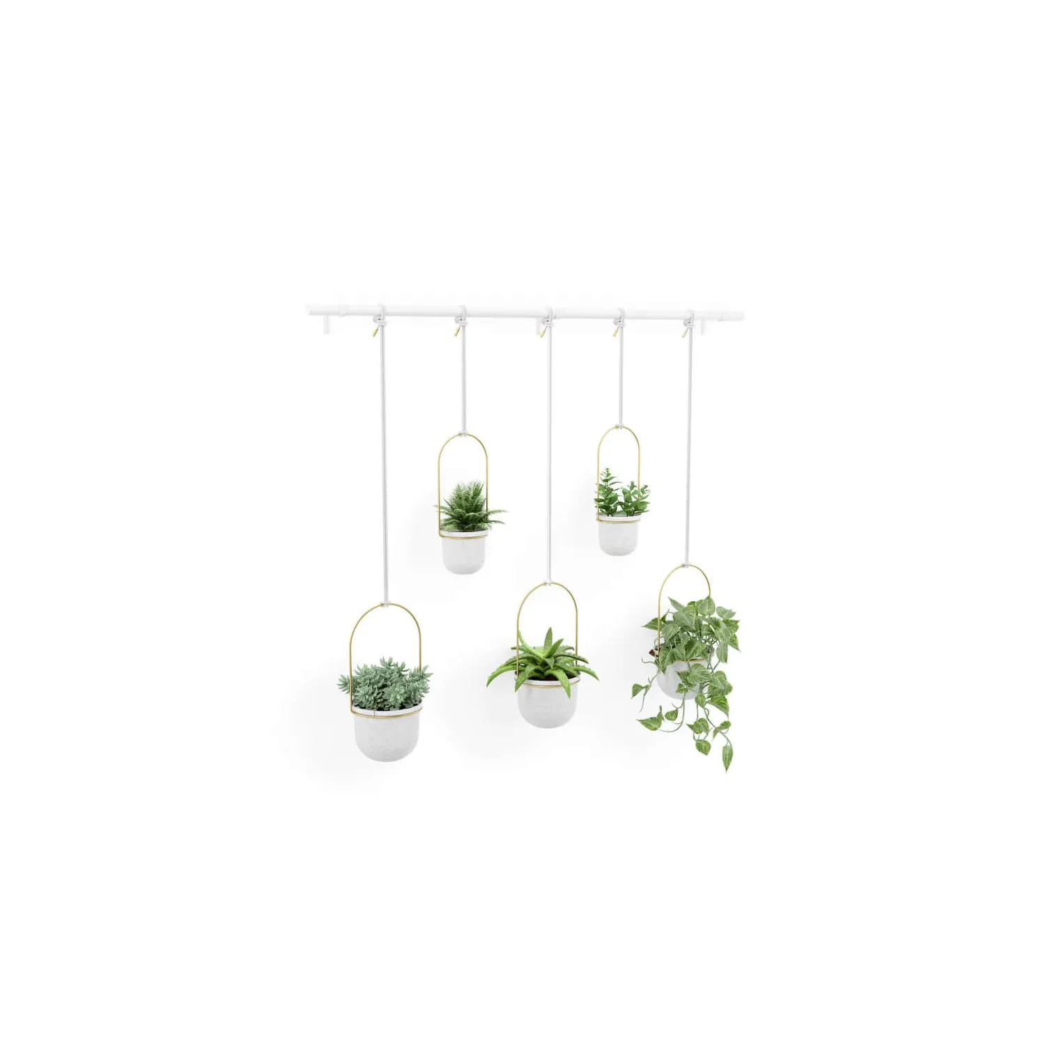Set ghivece suspendate Umbra Triflora XL White
