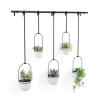 Set ghivece suspendate Umbra Triflora XL White