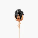 Pin de rever trandafir Dark Rose