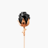 Pin de rever trandafir Dark Rose