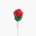 Pin de rever trandafir Rose