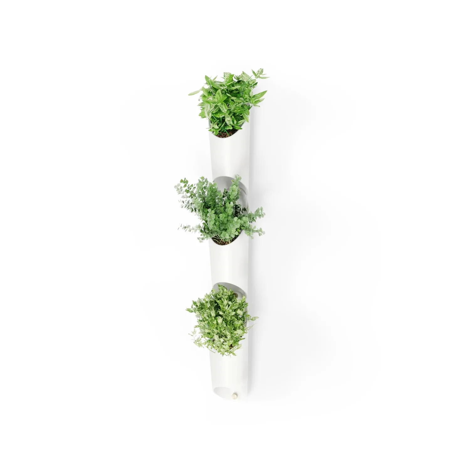 Set vaze modulare Umbra Floralink