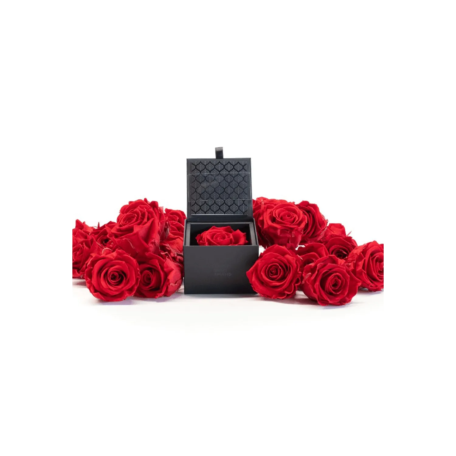Trandafir prezervat My Love XL