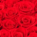 Cutie cu trandafiri prezervati Iconic
