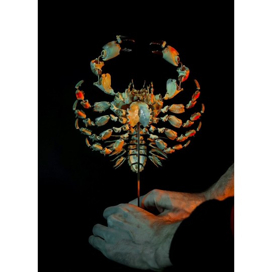 Crab Lophozozymus pictor