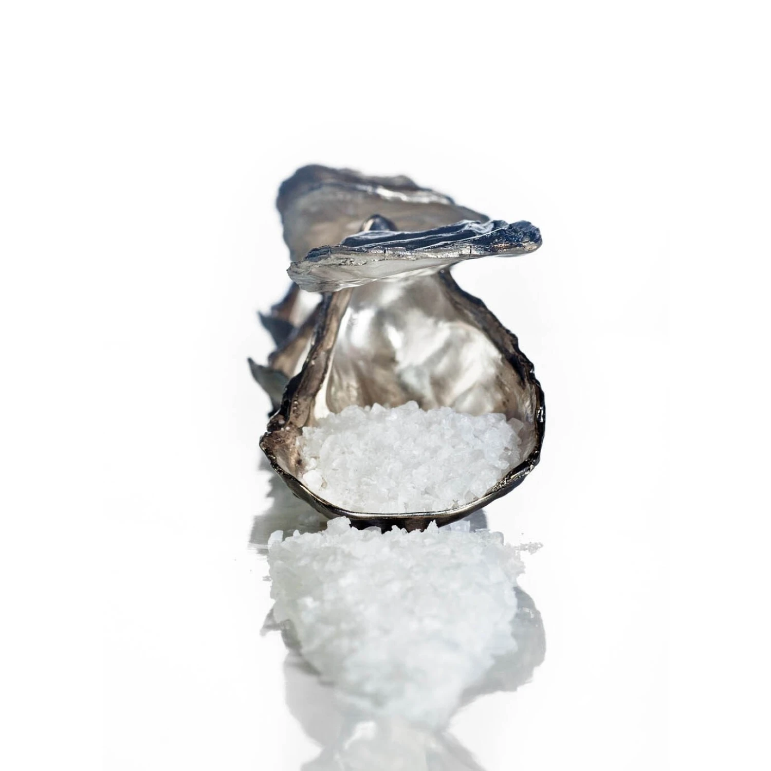 Set argint masiv Robbe & Berking Sylt Oyster