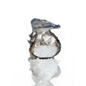Set argint masiv Robbe & Berking Sylt Oyster
