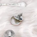 Cutiuta argint masiv primul dintisor sau mot