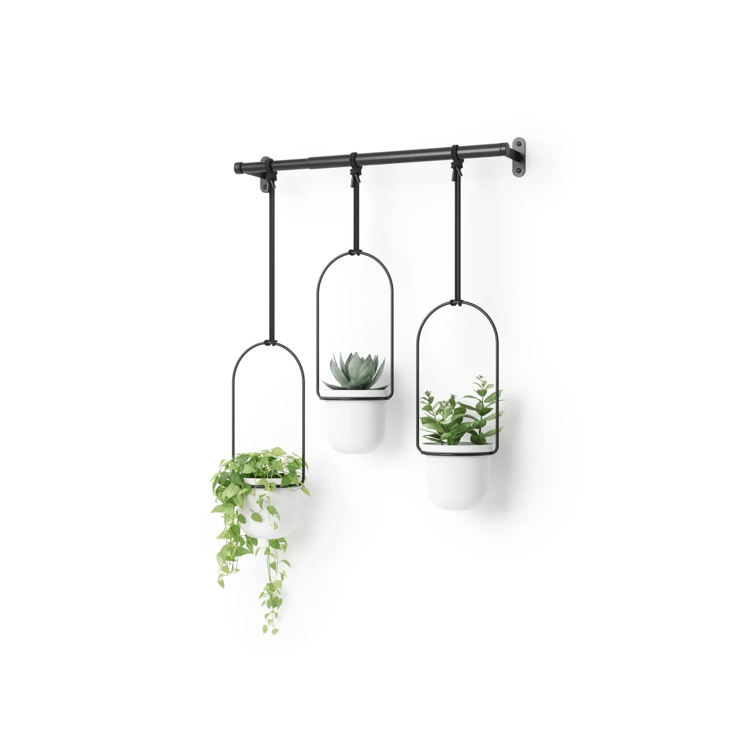 Set ghivece suspendate Umbra Triflora