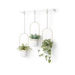 Set ghivece suspendate Umbra Triflora Gold
