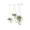 Set ghivece suspendate Umbra Triflora Gold