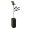 Statueta bronz "Trandafir auriu"
