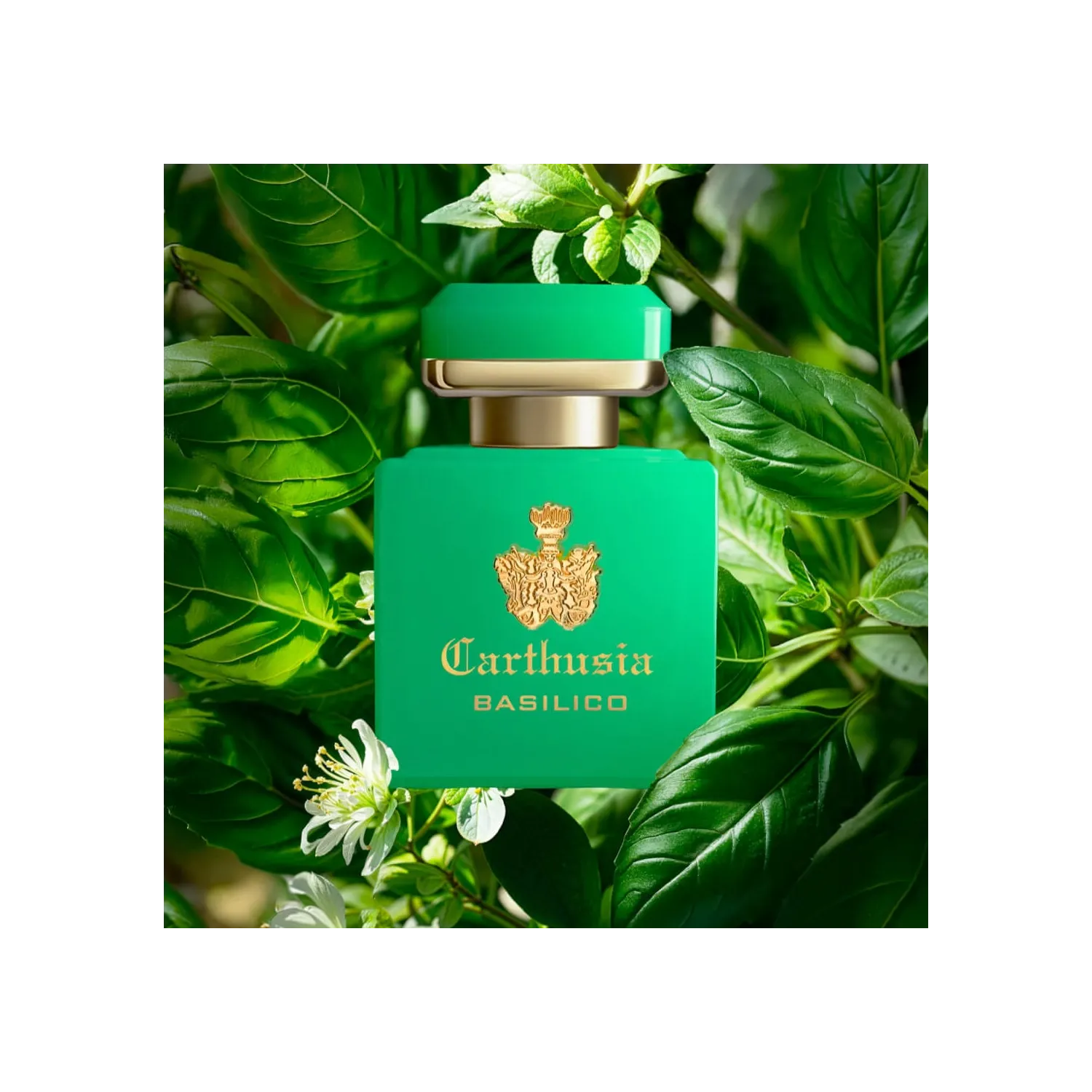 Parfum Carthusia Intenso di Basilico 50ml