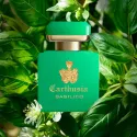 Parfum Carthusia Intenso di Basilico 50ml