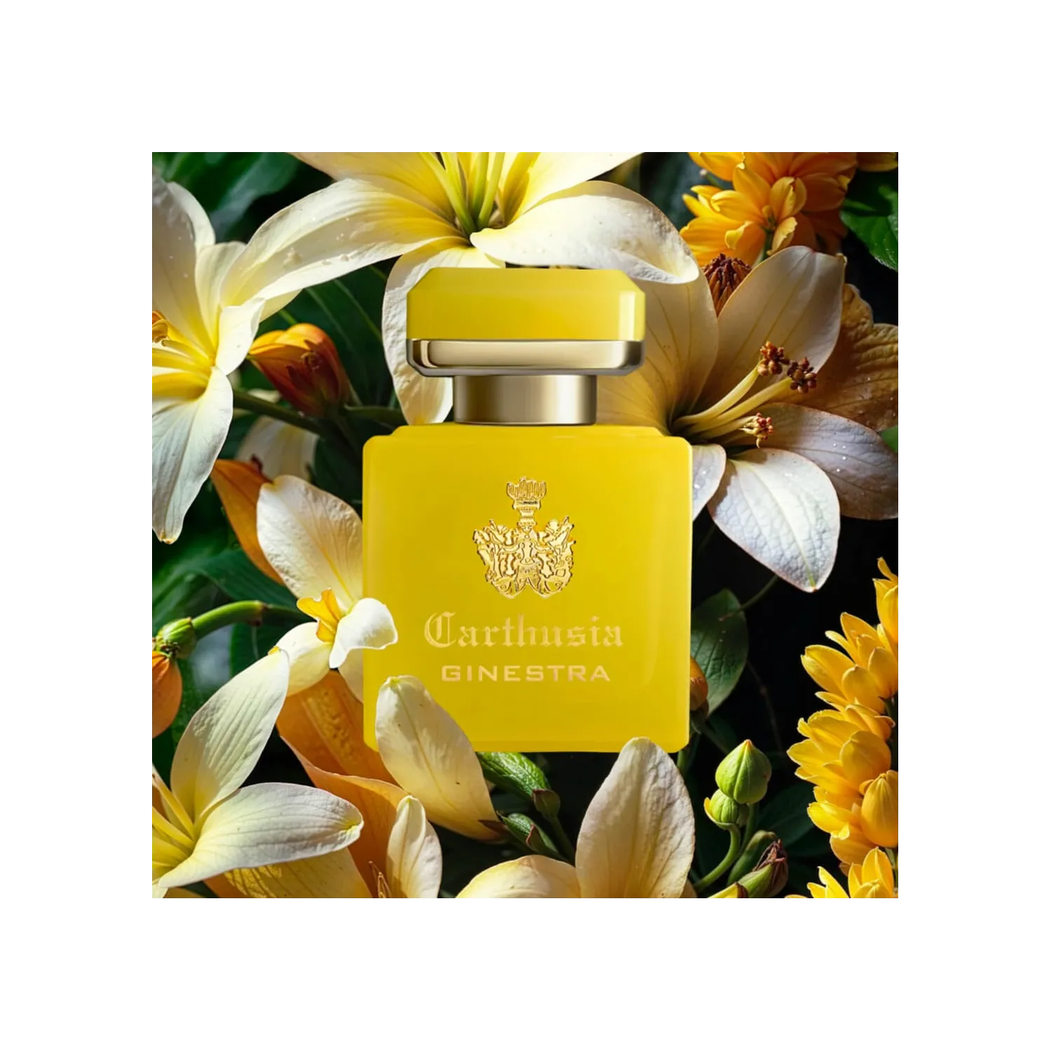 Parfum Carthusia Intenso di Ginestra 50ml