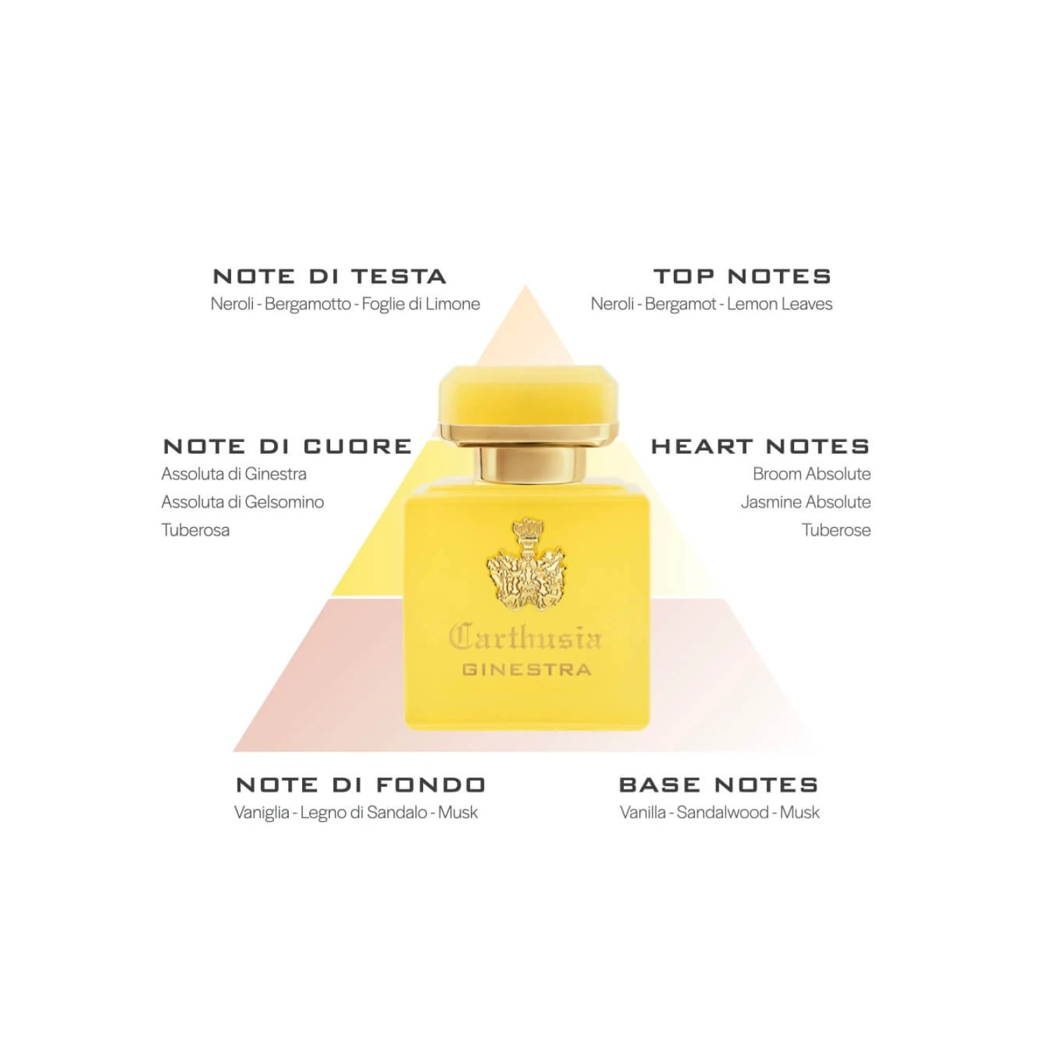 Parfum Carthusia Intenso di Ginestra 50ml
