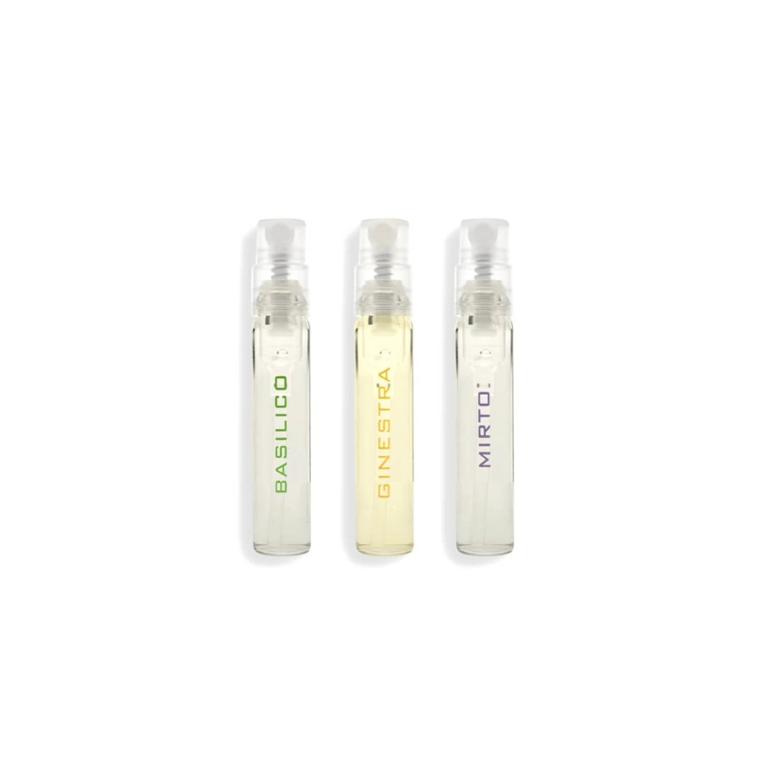 Set mostre Carthusia Intenso