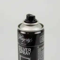 Spray curatat argintarie