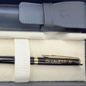 Set pix Waterman Hemisphere Gold cu notes