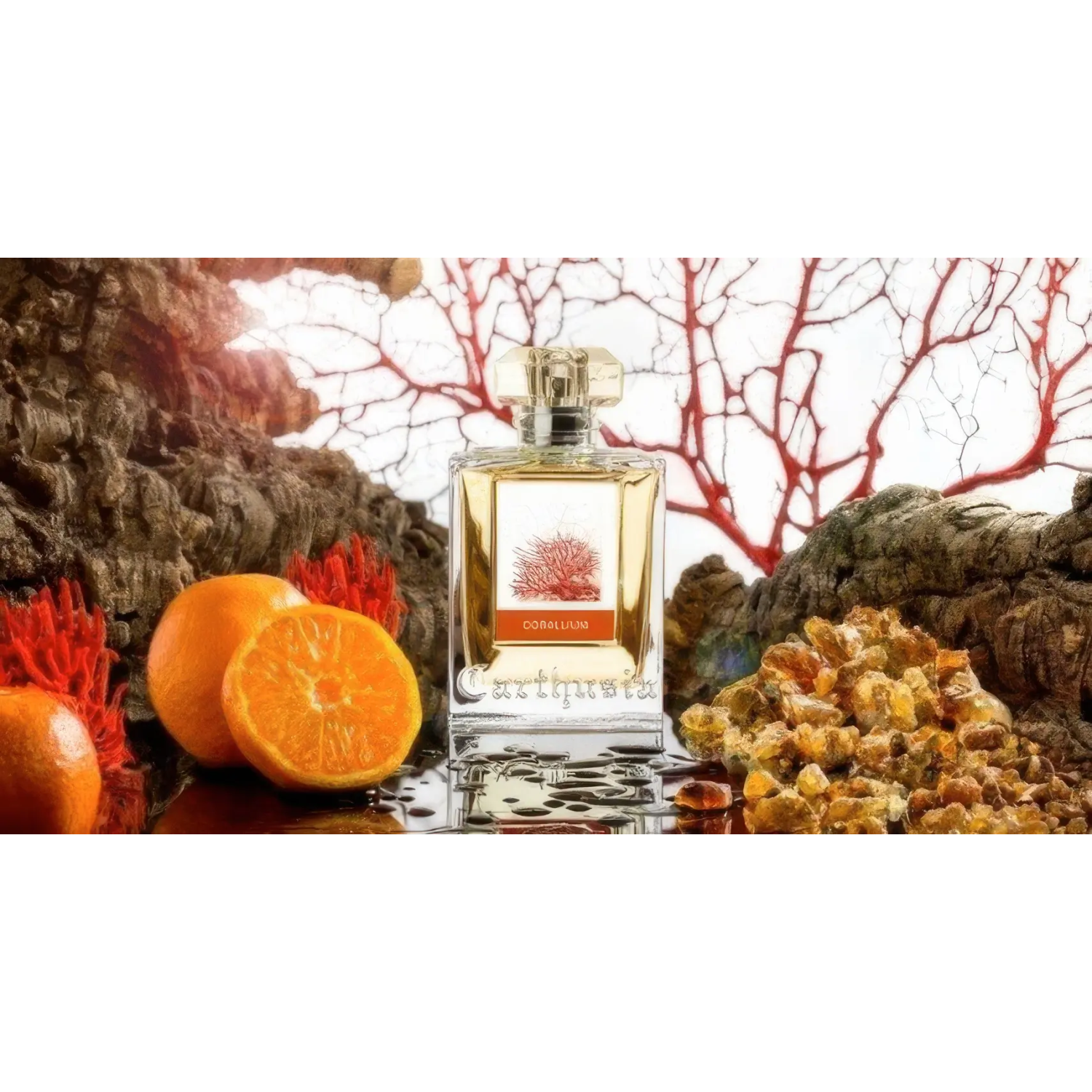 Parfum camera Carthusia Corallium Note 100ml