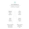Rezerva Carthusia Via Camerelle