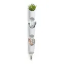 Set vaze modulare Umbra Floralink