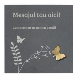 Placheta piatra "fluture" bronz masiv