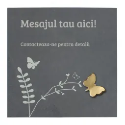 Placheta piatra "fluture" bronz masiv