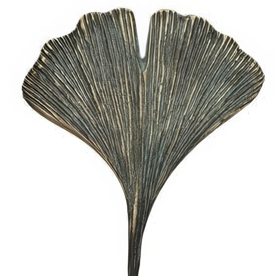 Statueta bronz "Ginkgo"