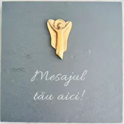 Placheta piatra "Ingeras" bronz masiv