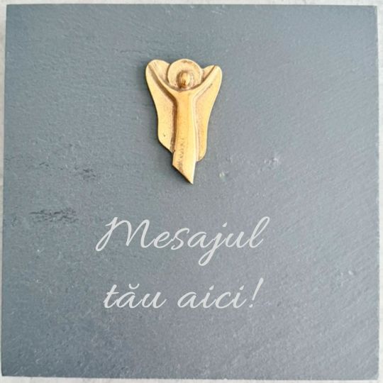 Placheta piatra "Ingeras" bronz masiv