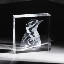 Trofeu din cristal Square personalizat