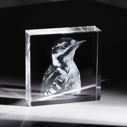 Trofeu din cristal Square personalizat