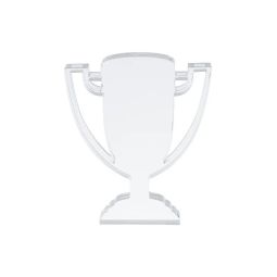 Trofeu din acril Champion personalizat